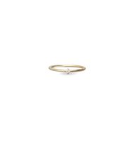 Ringe Rubinia Dame in Gold AN356GBT